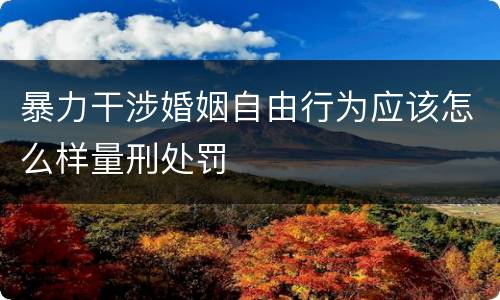 暴力干涉婚姻自由行为应该怎么样量刑处罚