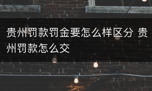 贵州罚款罚金要怎么样区分 贵州罚款怎么交