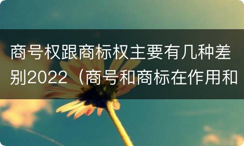 商号权跟商标权主要有几种差别2022（商号和商标在作用和性质上的区别）