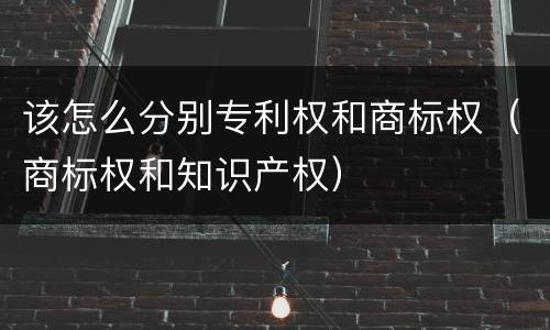 该怎么分别专利权和商标权（商标权和知识产权）