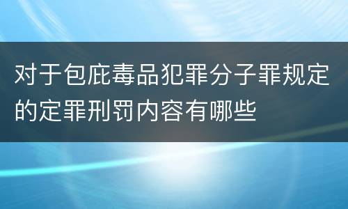 对于包庇毒品犯罪分子罪规定的定罪刑罚内容有哪些