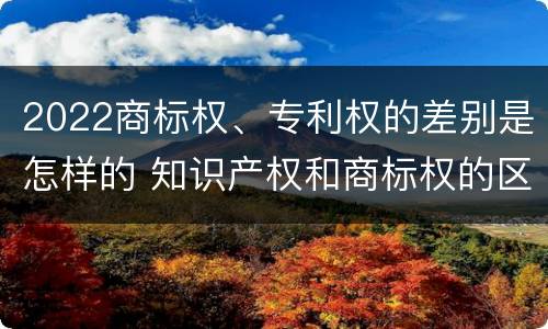 2022商标权、专利权的差别是怎样的 知识产权和商标权的区别