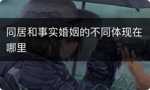 同居和事实婚姻的不同体现在哪里