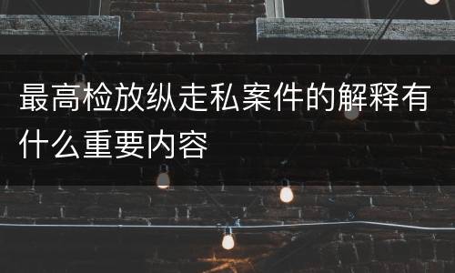 最高检放纵走私案件的解释有什么重要内容