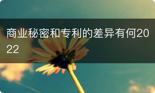 商业秘密和专利的差异有何2022
