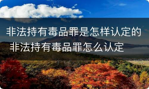非法持有毒品罪是怎样认定的 非法持有毒品罪怎么认定