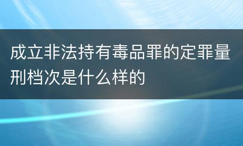 成立非法持有毒品罪的定罪量刑档次是什么样的