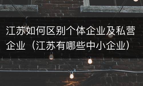 江苏如何区别个体企业及私营企业（江苏有哪些中小企业）
