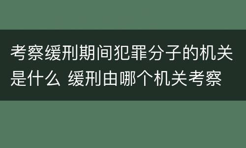 考察缓刑期间犯罪分子的机关是什么 缓刑由哪个机关考察