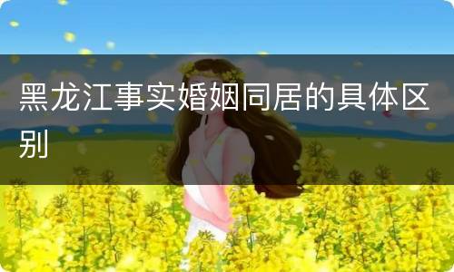 黑龙江事实婚姻同居的具体区别