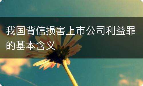 我国背信损害上市公司利益罪的基本含义