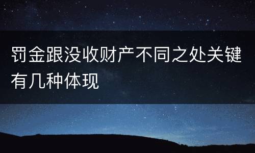 罚金跟没收财产不同之处关键有几种体现