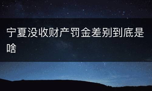 宁夏没收财产罚金差别到底是啥
