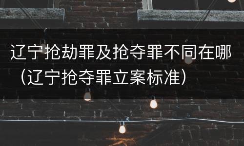 辽宁抢劫罪及抢夺罪不同在哪（辽宁抢夺罪立案标准）