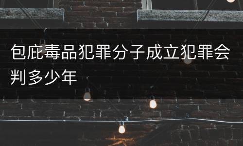 包庇毒品犯罪分子成立犯罪会判多少年