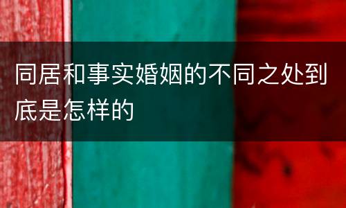 同居和事实婚姻的不同之处到底是怎样的