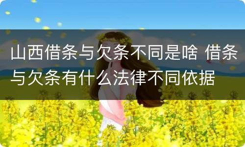 山西借条与欠条不同是啥 借条与欠条有什么法律不同依据