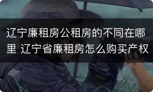 辽宁廉租房公租房的不同在哪里 辽宁省廉租房怎么购买产权