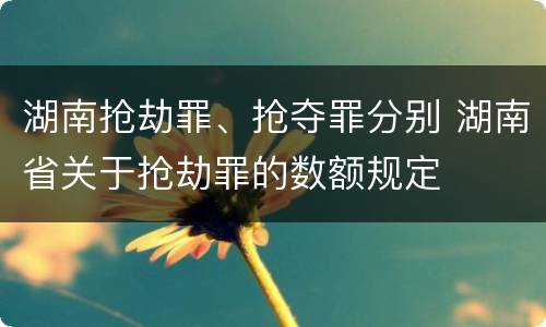 湖南抢劫罪、抢夺罪分别 湖南省关于抢劫罪的数额规定