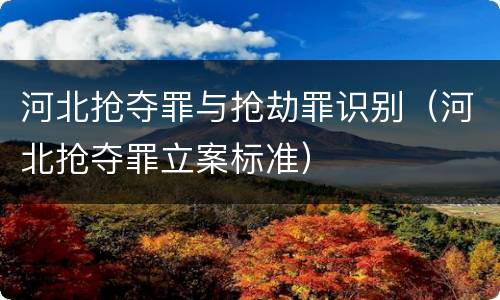 河北抢夺罪与抢劫罪识别（河北抢夺罪立案标准）