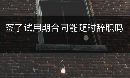 签了试用期合同能随时辞职吗