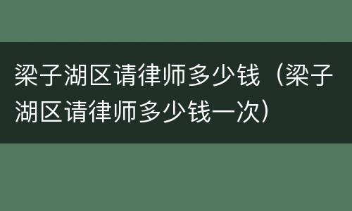 梁子湖区请律师多少钱（梁子湖区请律师多少钱一次）