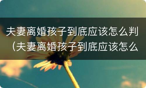 夫妻离婚孩子到底应该怎么判（夫妻离婚孩子到底应该怎么判决）