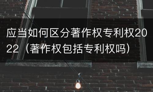 应当如何区分著作权专利权2022（著作权包括专利权吗）