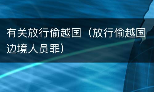 有关放行偷越国（放行偷越国边境人员罪）