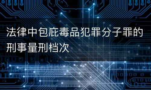 法律中包庇毒品犯罪分子罪的刑事量刑档次
