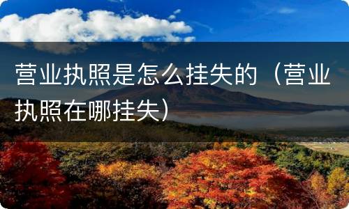 营业执照是怎么挂失的（营业执照在哪挂失）
