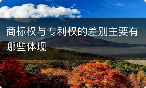 商标权与专利权的差别主要有哪些体现