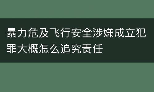 暴力危及飞行安全涉嫌成立犯罪大概怎么追究责任