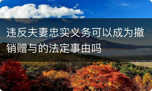 违反夫妻忠实义务可以成为撤销赠与的法定事由吗