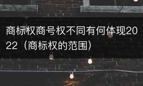 商标权商号权不同有何体现2022（商标权的范围）