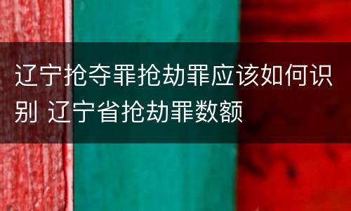 辽宁抢夺罪抢劫罪应该如何识别 辽宁省抢劫罪数额