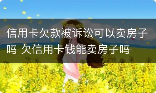 信用卡欠款被诉讼可以卖房子吗 欠信用卡钱能卖房子吗