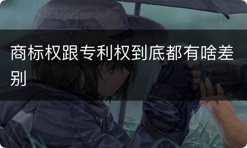 商标权跟专利权到底都有啥差别