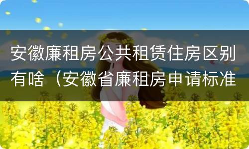 安徽廉租房公共租赁住房区别有啥（安徽省廉租房申请标准）