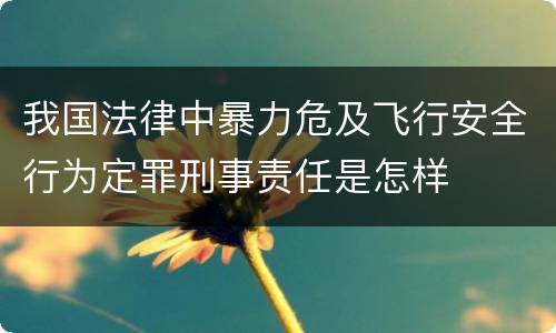 我国法律中暴力危及飞行安全行为定罪刑事责任是怎样