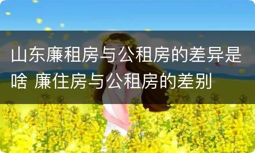 山东廉租房与公租房的差异是啥 廉住房与公租房的差别