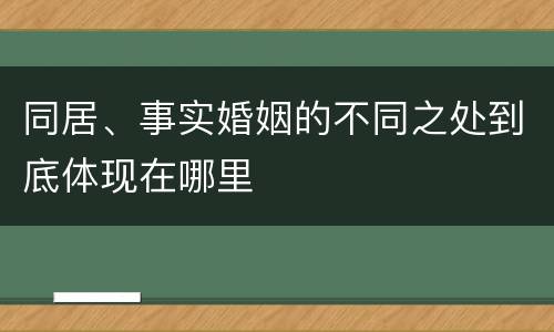 同居、事实婚姻的不同之处到底体现在哪里
