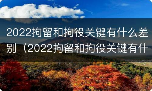 2022拘留和拘役关键有什么差别（2022拘留和拘役关键有什么差别呢）