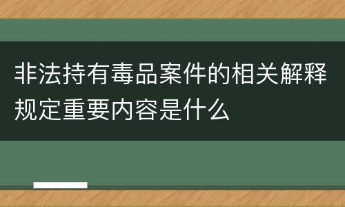 非法持有毒品案件的相关解释规定重要内容是什么