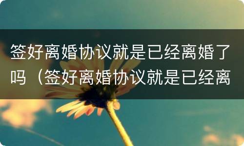 签好离婚协议就是已经离婚了吗（签好离婚协议就是已经离婚了吗）