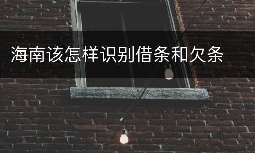 海南该怎样识别借条和欠条