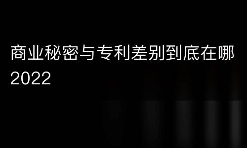 商业秘密与专利差别到底在哪2022