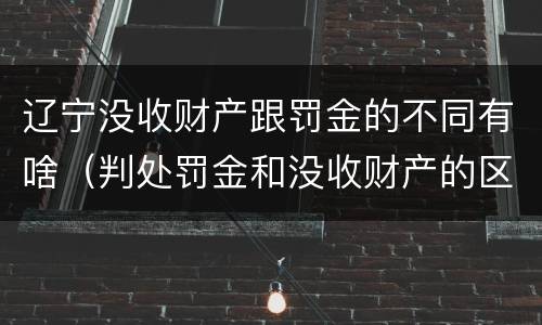 辽宁没收财产跟罚金的不同有啥（判处罚金和没收财产的区别）