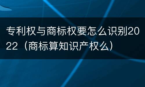专利权与商标权要怎么识别2022（商标算知识产权么）