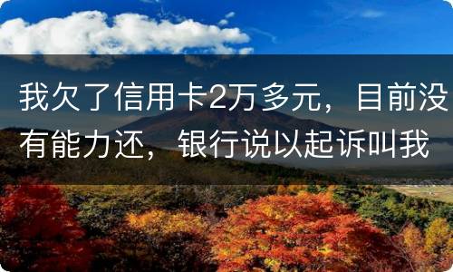 我欠了信用卡2万多元，目前没有能力还，银行说以起诉叫我带上律师费50